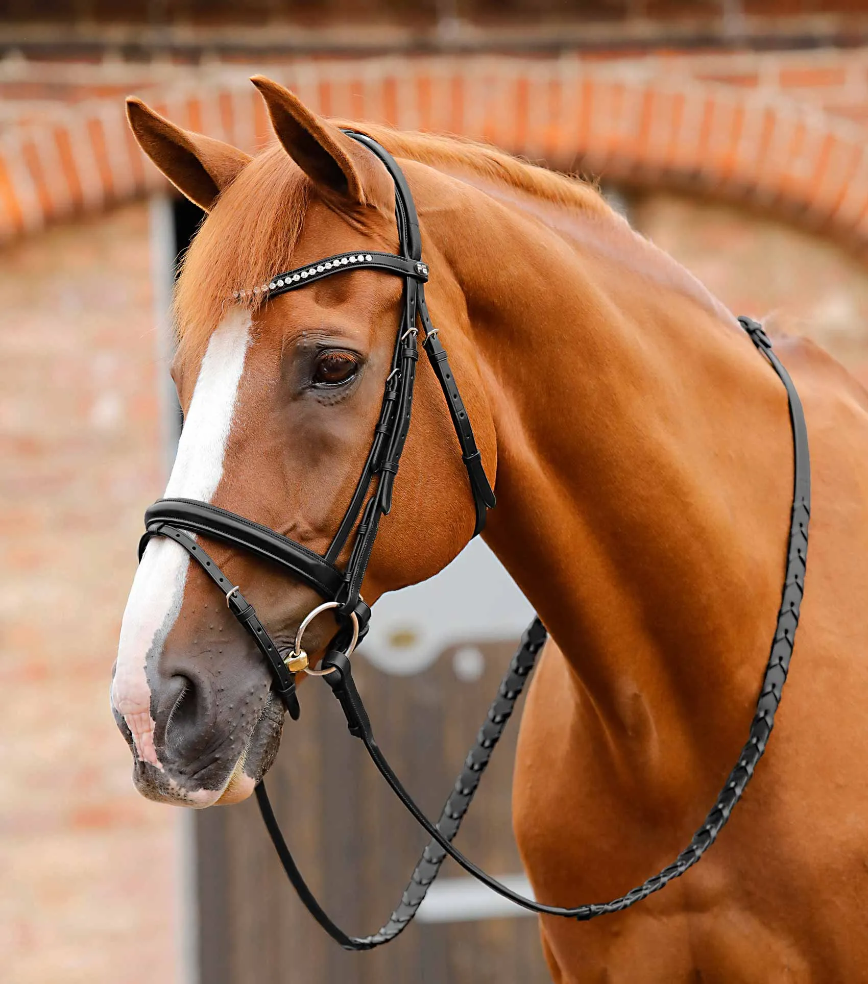 Bellissima Shaped Diamante Browband Black