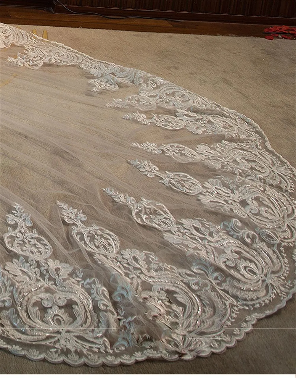 Lace Appliqued Cathedral Veil