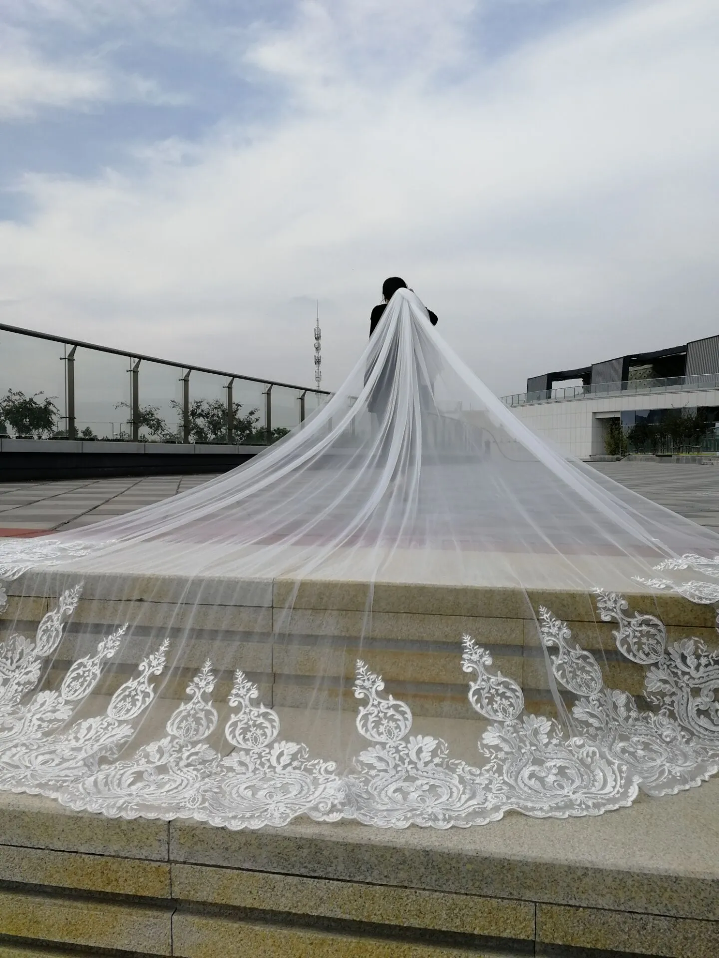 Lace Appliqued Cathedral Veil